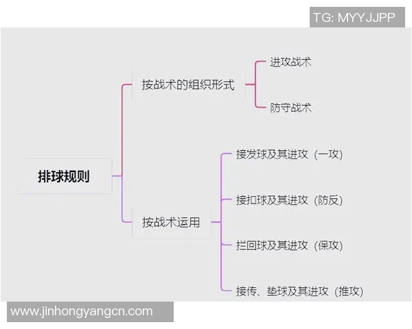 排球深度解析：杭州排球队如何实现中路突破的战术与技巧